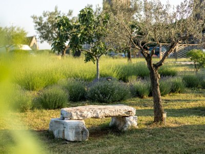 Holiday apartment Funtanela - Outdoor photo 25