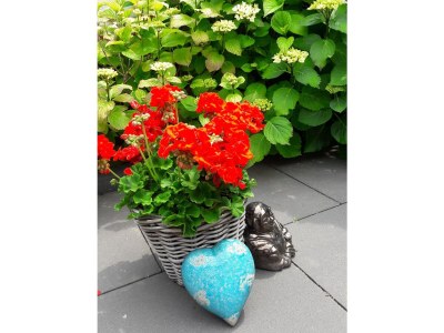 Holiday apartment Zeeland dream - Outdoor photo 5