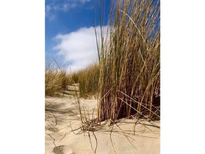 Holiday apartment Zeeland dream - Environment photo 22