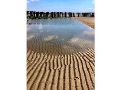 Holiday apartment Zeeland dream - Environment photo 25