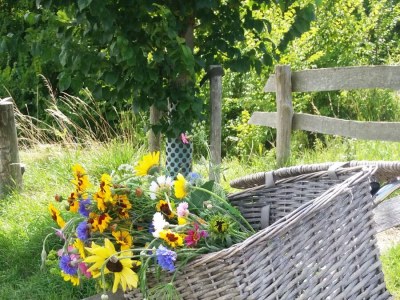 Holiday apartment Zeeland dream - Environment photo 27