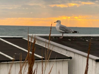 Holiday apartment Zeeland dream - Environment photo 28