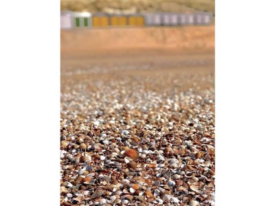 Holiday apartment Zeeland dream - Environment photo 29