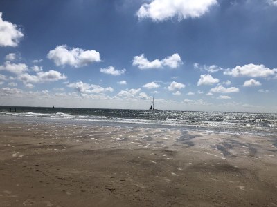 Holiday apartment Zeeland dream - Environment photo 31