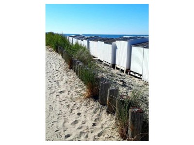 Holiday apartment Zeeland dream - Environment photo 33