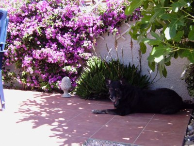 Holiday house Mas Analina - Outdoor photo 3