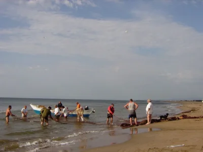 Holiday house Mas Analina - Environment photo 15