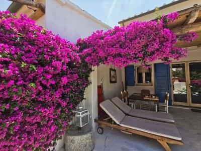 Holiday house La Forana - Outdoor photo 3