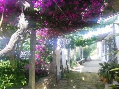 Holiday house La Forana - Environment photo 39