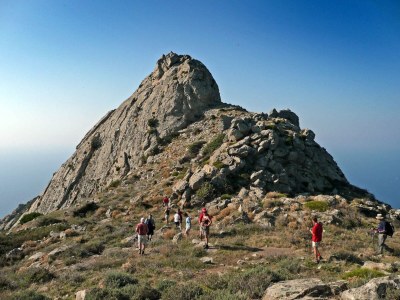 Holiday house La Forana - Environment photo 40