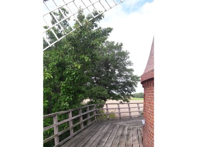 Holiday house Mühle Kunibert - Outdoor photo 9