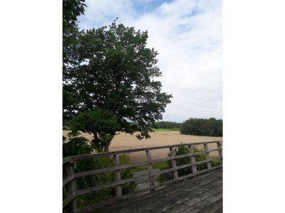 Holiday house Mühle Kunibert - Outdoor photo 10