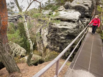 Holiday apartment Guest house "Zum Lilienstein" - upper floor - Environment photo 15