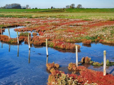 Holiday house Unio 19 - Environment photo 21