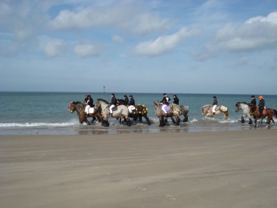 Holiday house Cardium 33 - Environment photo 14