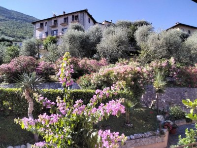 Holiday apartment Belvedere with pool - Outdoor photo 7
