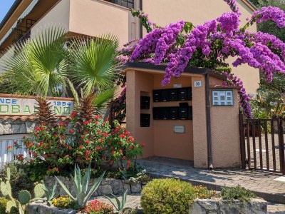 Holiday apartment Belvedere with pool - Outdoor photo 10