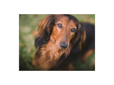 Holiday apartment Belvedere with pool - Document photo 55