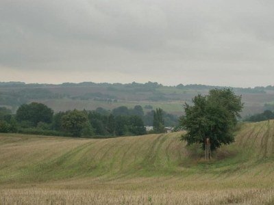 Bungalow Holiday Home with Parking - Environment photo 12