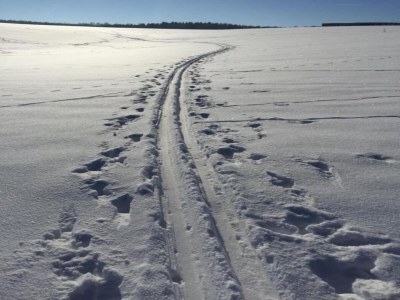 Bungalow Holiday Home with Parking - Environment photo 13