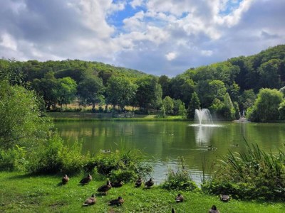 Bungalow Holiday Home with Parking - Environment photo 18