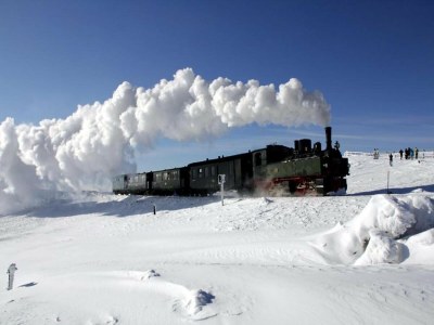 Bungalow Holiday Home with Parking - Environment photo 25