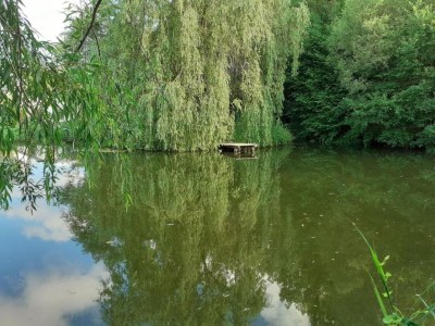 Bungalow Holiday Home with Parking - Environment photo 26