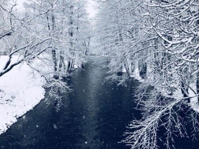 Bungalow Holiday Home with Parking - Environment photo 28