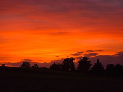 Bungalow Bungalow in Neustadt nahe Barbarossa Höhle - Environment photo 19