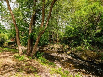 Bungalow Bungalow in Neustadt nahe Barbarossa Höhle - Environment photo 24