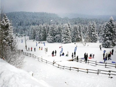 Bungalow Bungalow in Neustadt nahe Barbarossa Höhle - Environment photo 32