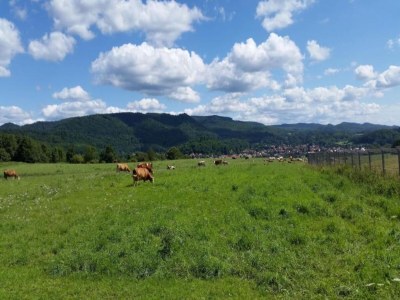 Bungalow Bungalow in Neustadt nahe Barbarossa Höhle - Environment photo 33
