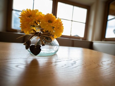 Holiday apartment Reiselust - Features photo 46