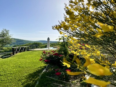 Apartment Apartment in a holiday home - Outdoor photo 10