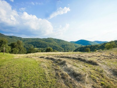 Apartment Apartment in a holiday home - Outdoor photo 14