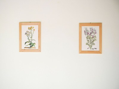 Apartment Apartment in a holiday home - Outdoor photo 42