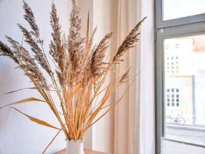 Apartment Ferienwohnung in Wismar im Stadtzentrum - Outdoor photo 40