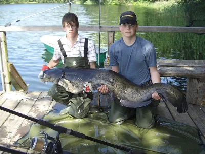 Holiday house "Fischerei" in Alt-Schwerin at Lake Plau - Environment photo 16