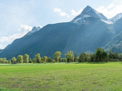 Holiday house Bauernhaus im Ötztal nahe Skigebieten - Environment photo 35