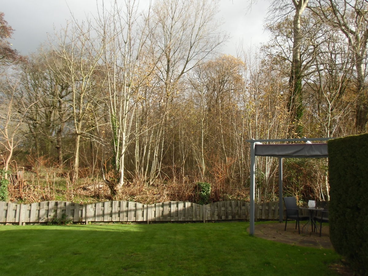 Holiday house The Wagtail - Outdoor photo 3