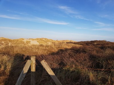 Holiday house The Wagtail - Environment photo 22