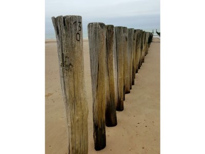 Holiday house The Wagtail - Environment photo 23