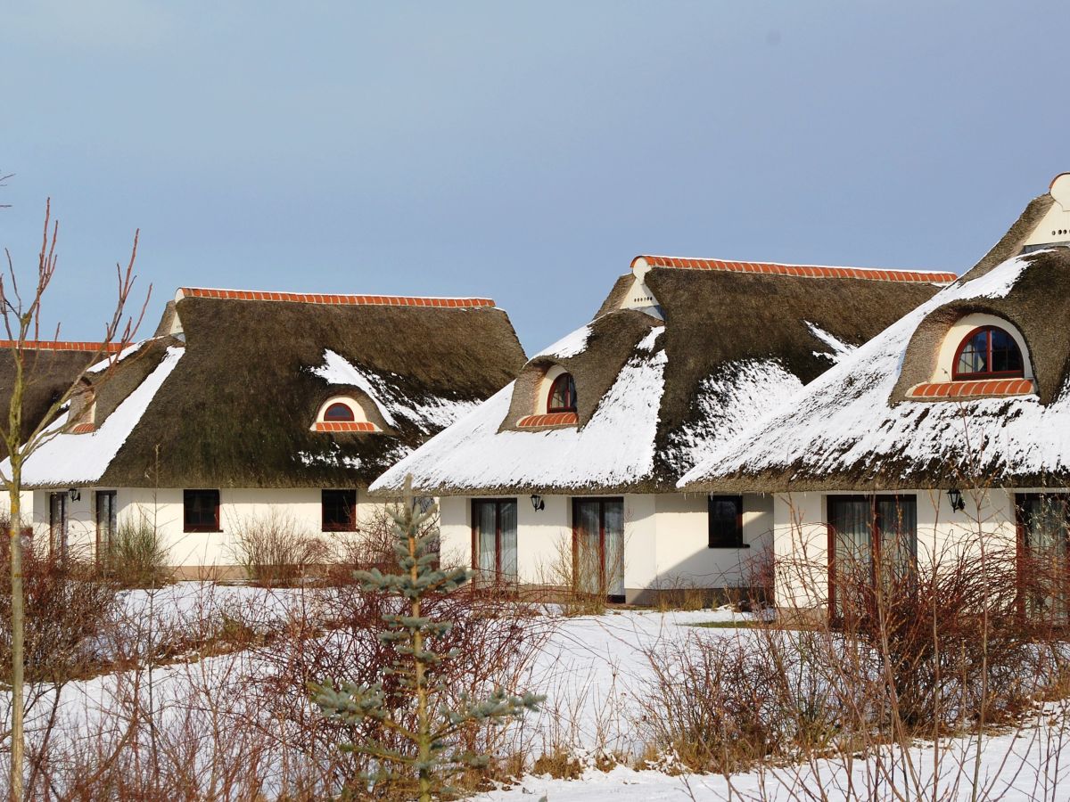 Holiday house Drewitzersee 2 - Outdoor photo 4