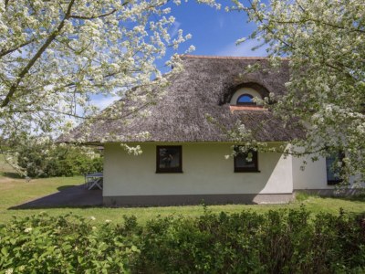 Holiday house Drewitzersee 2 - Outdoor photo 7