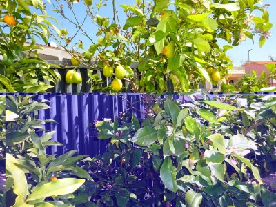 Apartment Mila - Outdoor photo 12