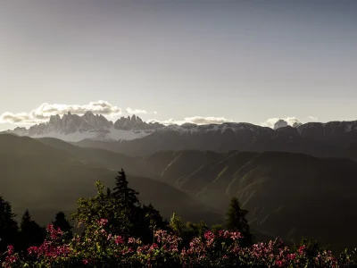 Holiday apartment Perlungerhof in Brixen - Holiday apartment