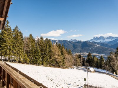 Holiday apartment Perlungerhof - Outdoor photo 8