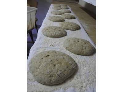 Holiday apartment Perlungerhof - Environment photo 17