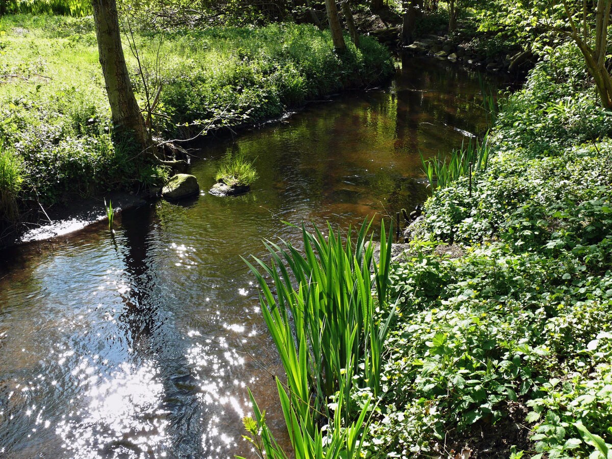 Holiday apartment Uta Helene Götz