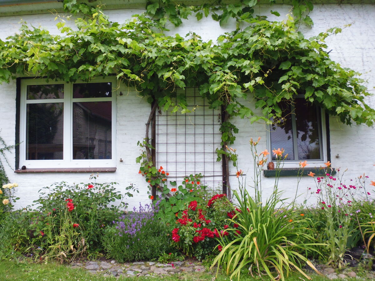 Holiday apartment Uta Helene Götz - Outdoor photo 5